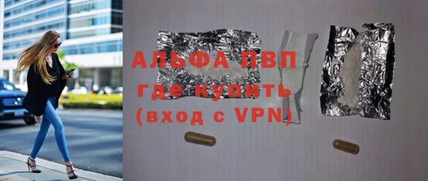 СК Алексин