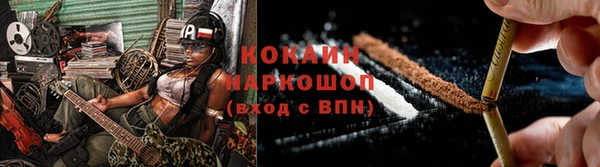 СК Алексин