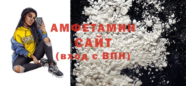 СК Алексин