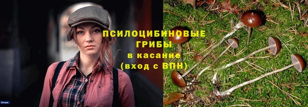apvp Абаза
