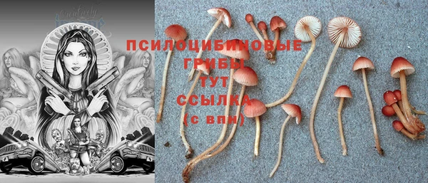 МДМА Абдулино