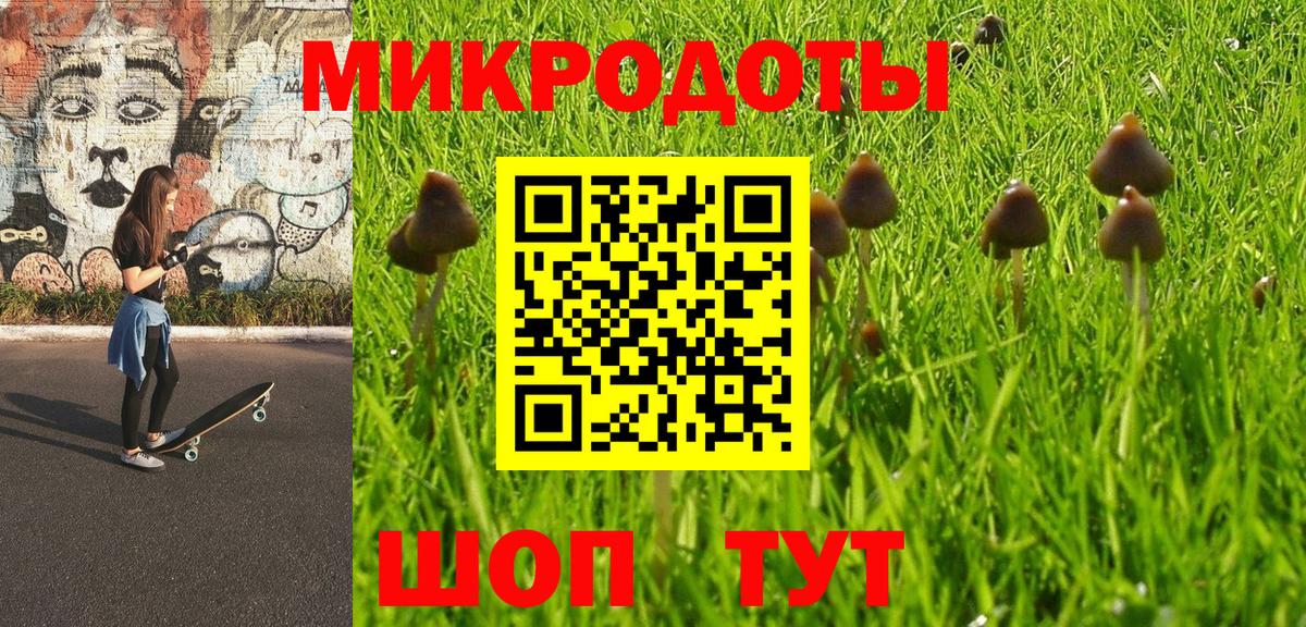 Псилоцибиновые грибы Cubensis Камышлов
