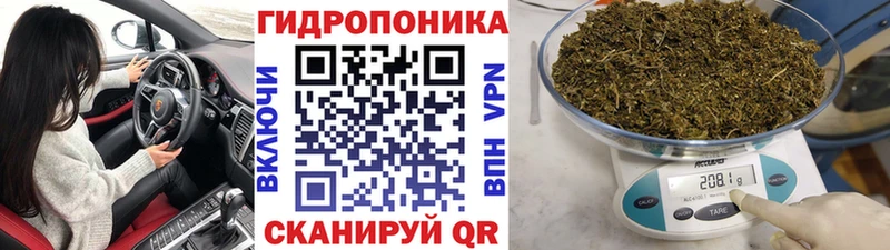 Марихуана Amnesia  hydra как войти  Камышлов  наркотики 